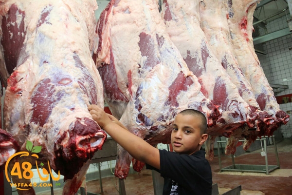 Jam3iya ada7ya (4).jpg